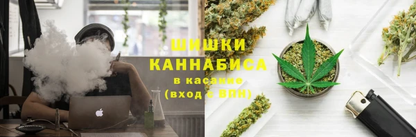 хмурый Верея