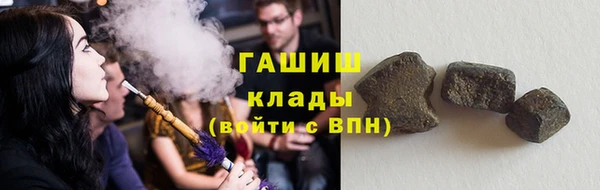 амф Бородино