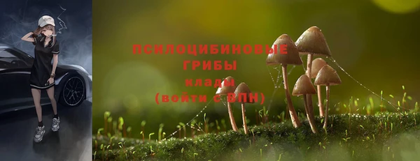 мескалин Богородск