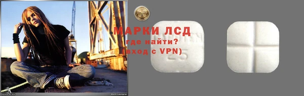 хмурый Верея