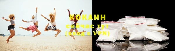 хмурый Верея