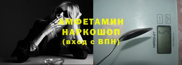 амф Бородино