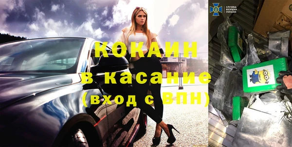 хмурый Верея