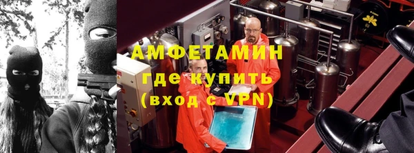 амф Бородино
